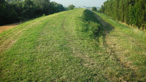 Porzione di argine del Reno
