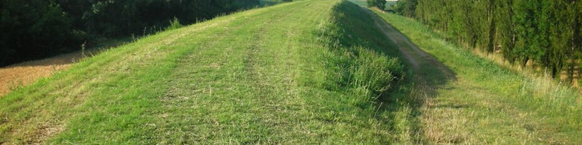 Porzione di argine del Reno