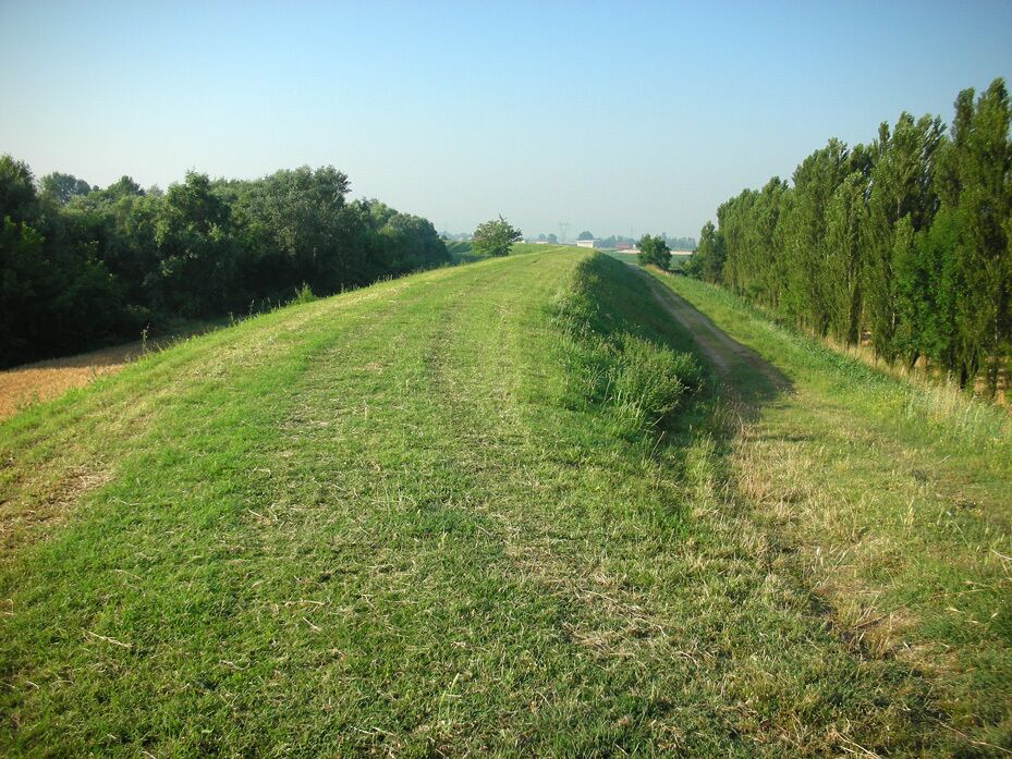 A grassy field with a dirt path leading into the distance, surrounded by trees.