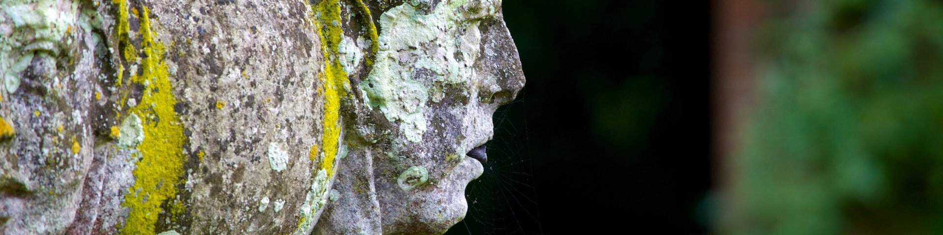 Torre Layer Marney que incluye una estatua o escultura