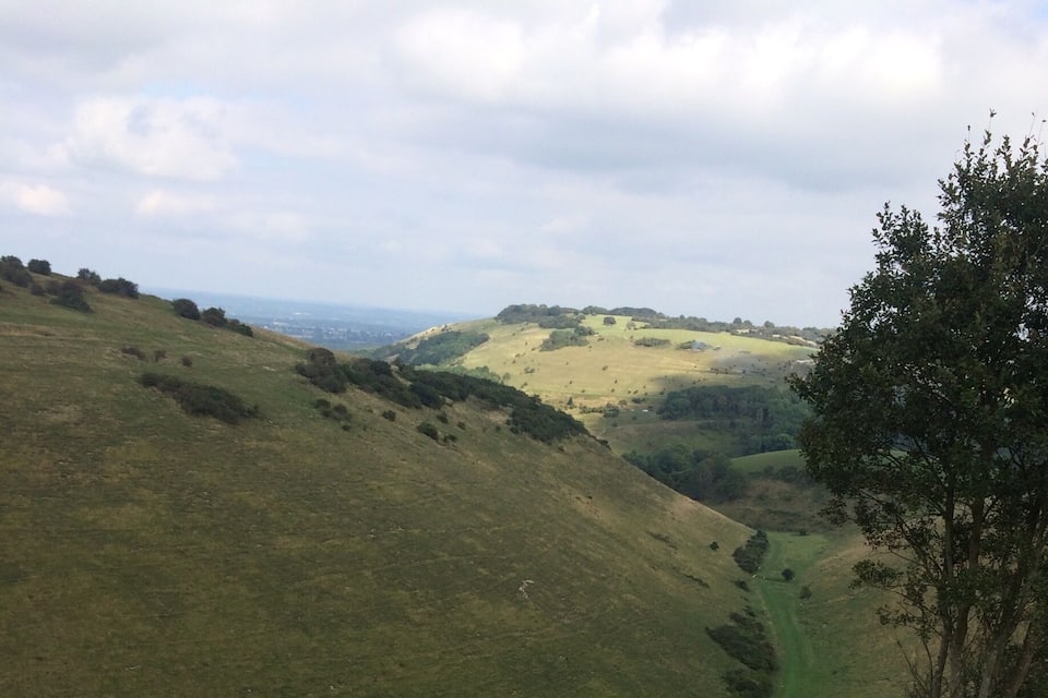 Rolling hills, a winding path, and a tree.
