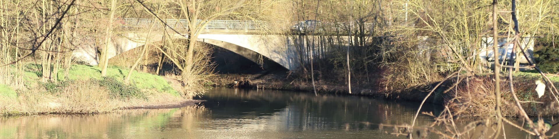 Neckar, hier von rechts nach links fließend mit der Einmündung der Murr auf der gegenüber liegenden Seite