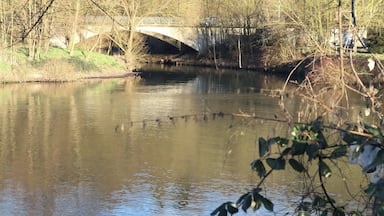 Neckar, hier von rechts nach links flieĂend mit der EinmĂŒndung der Murr auf der gegenĂŒber liegenden Seite