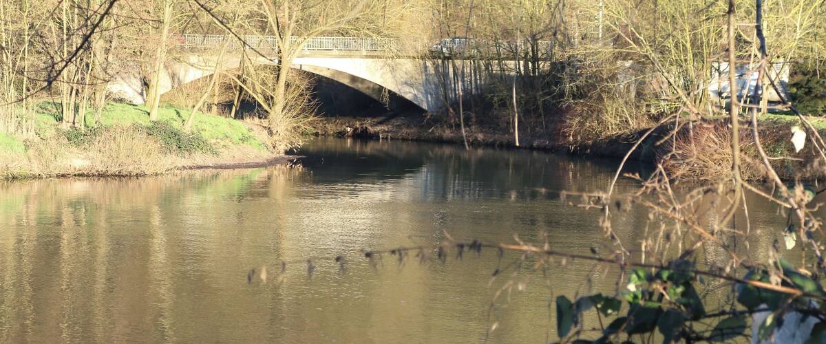 A calm river with a bridge in the background and trees along the banks.