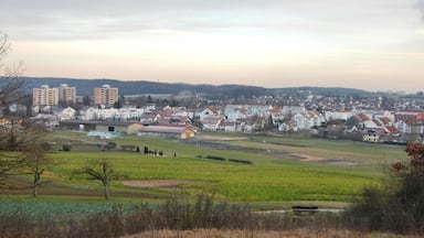 A town with residential houses, a large building, and fields.