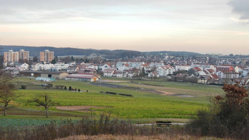 A town with residential houses, a large building, and fields.