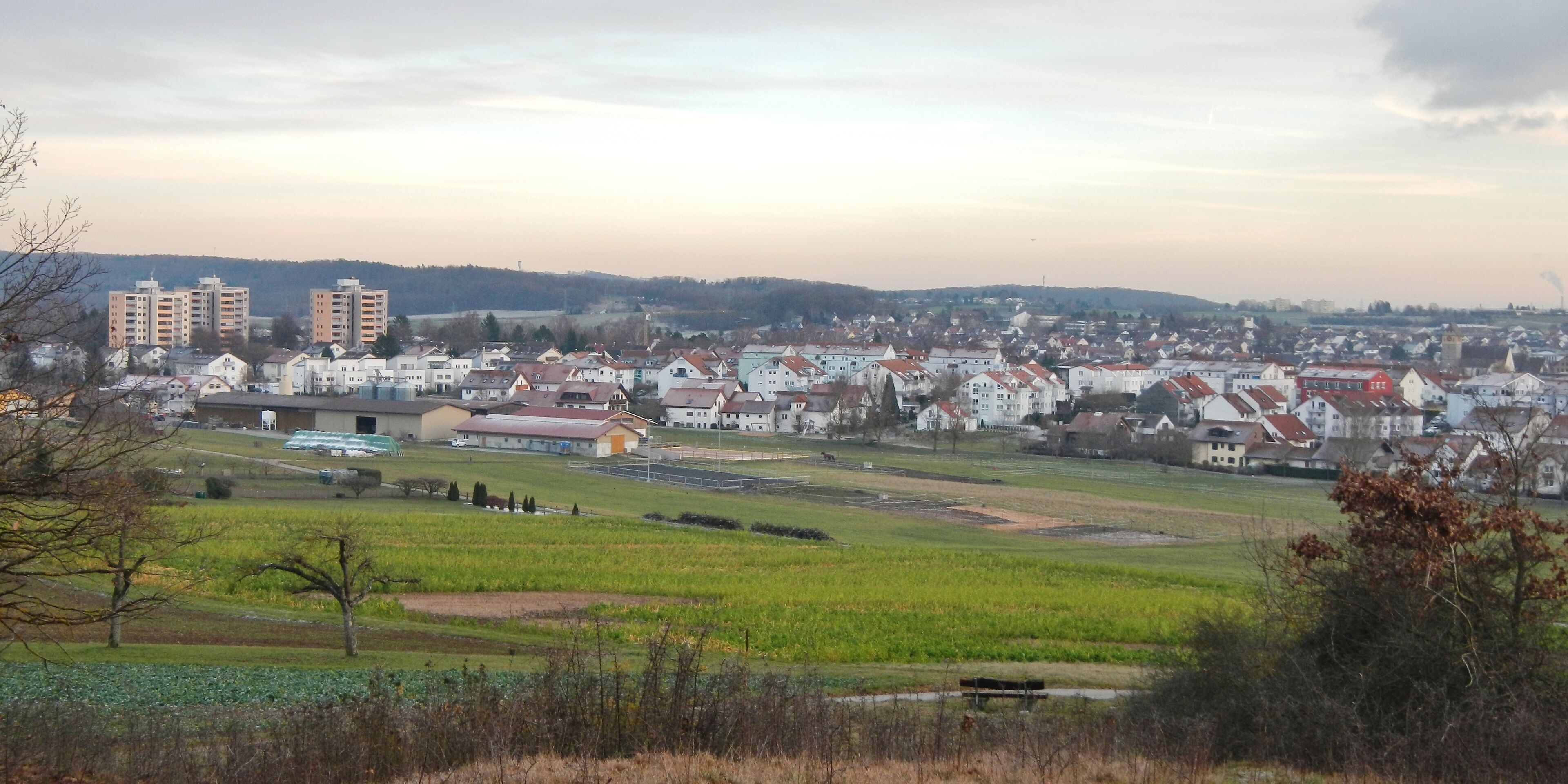 A town with residential houses, a large building, and fields.