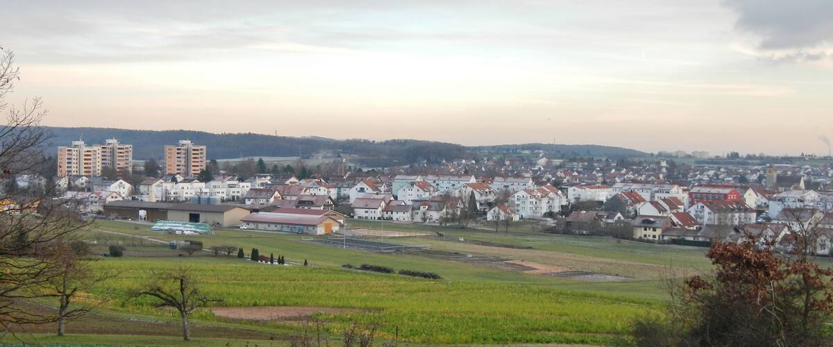 A town with residential houses, a large building, and fields.