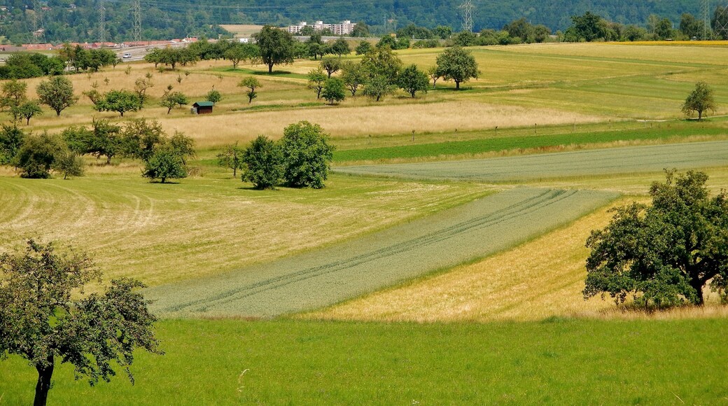 Blick Richtung Magstadt