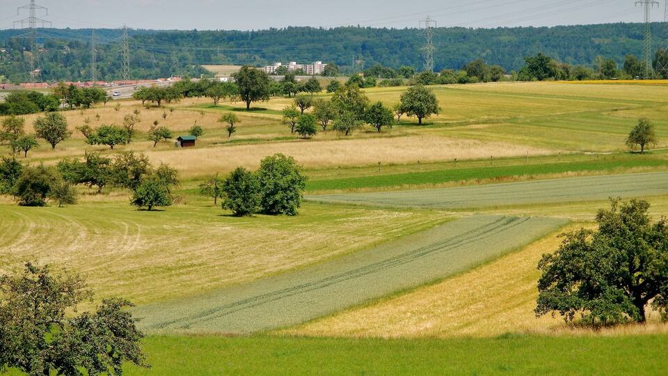 A rural landscape with fields, trees, and distant buildings.