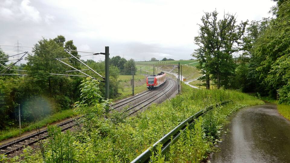 A train on tracks surrounded by greenery and a wet road.
