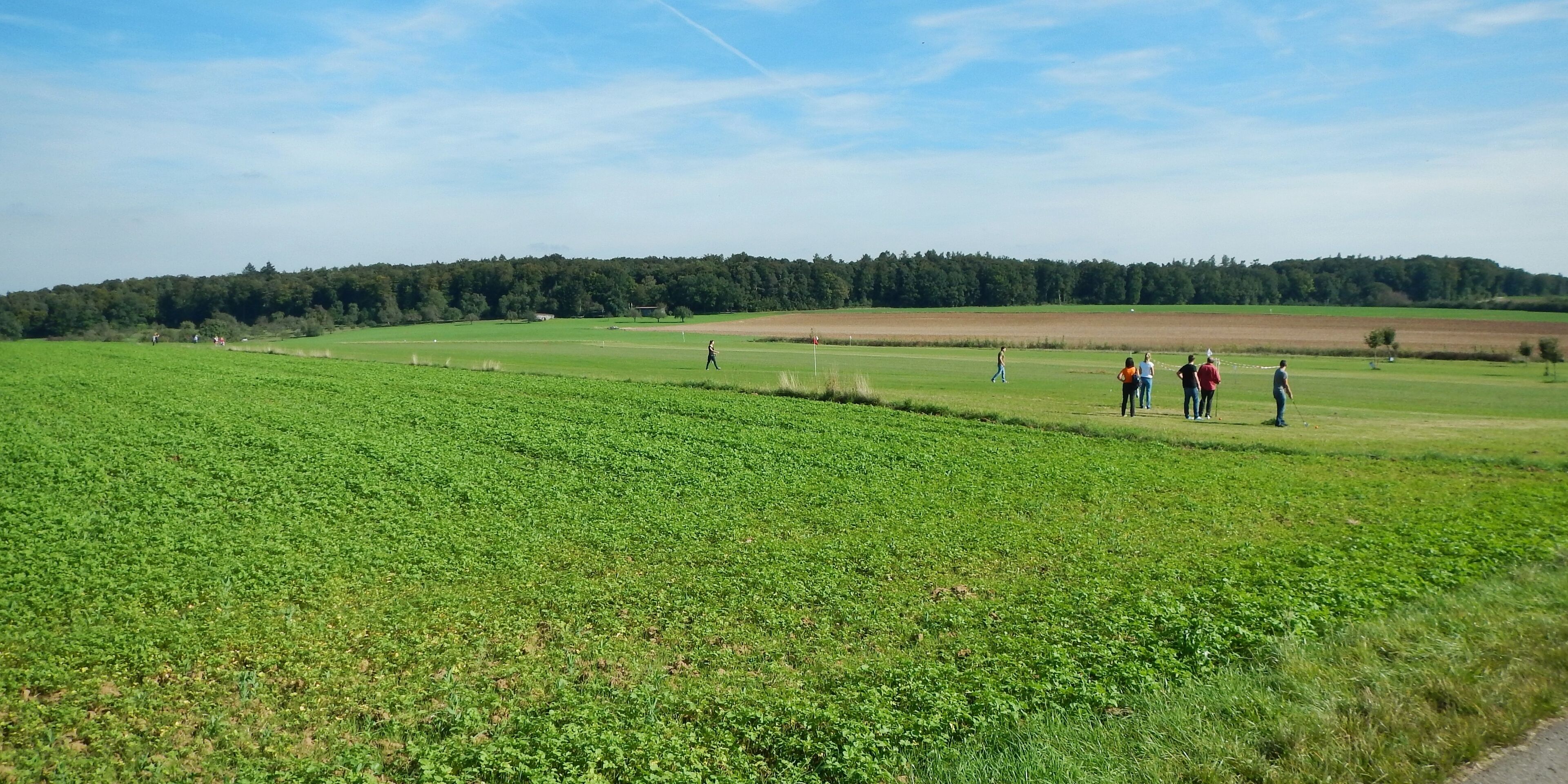 Swingolf in Renningen