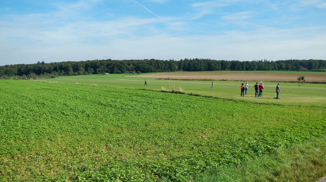 Swingolf in Renningen