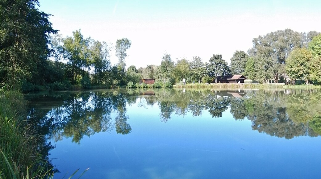 Maisenbachweiher bei Weil der Stadt