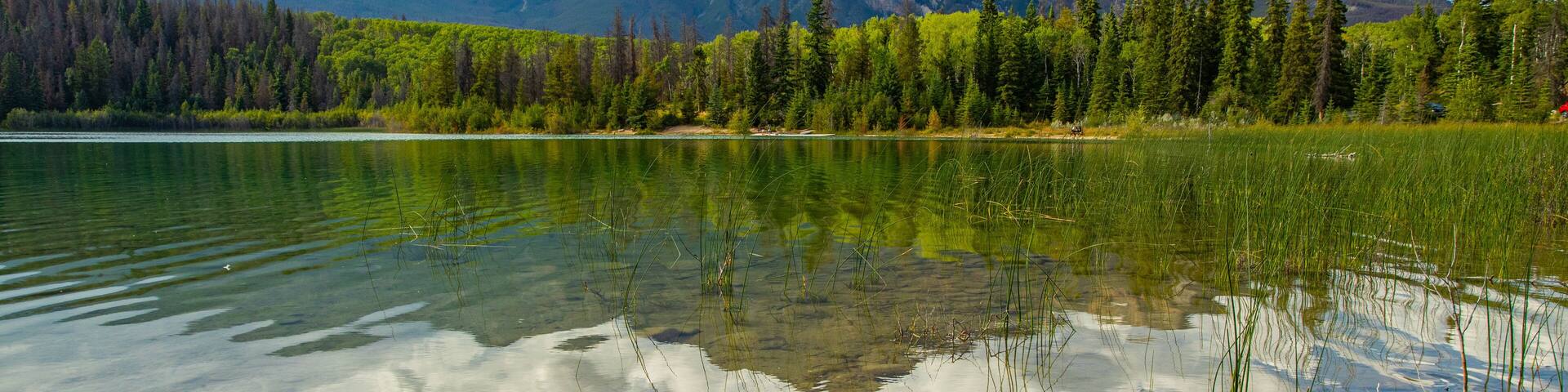 Patricia Lake showing a lake or waterhole