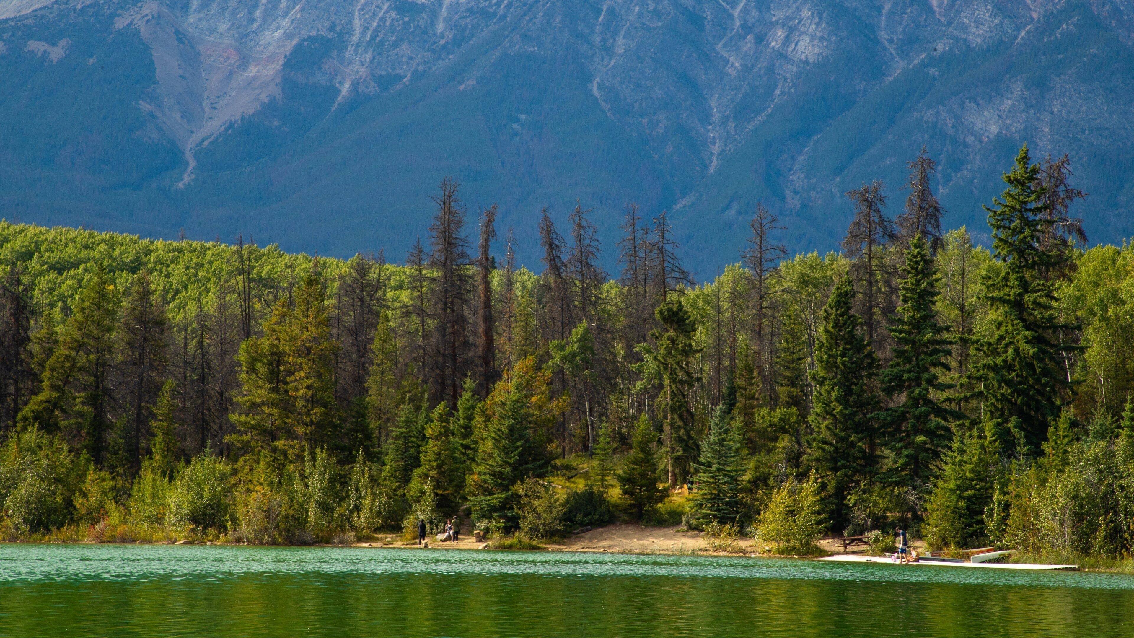 Patricia Lake showing a lake or waterhole and mountains