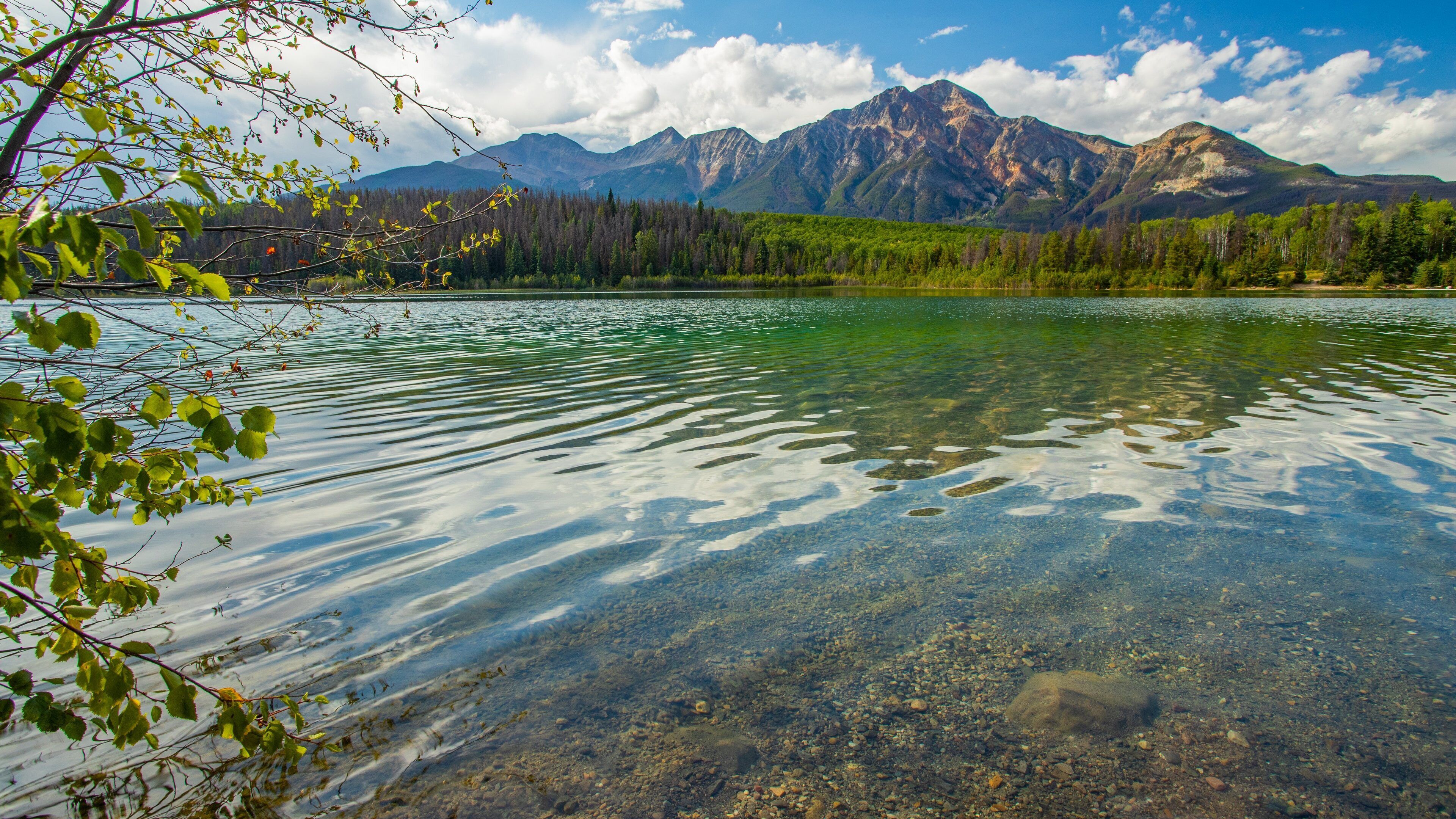 Patricia Lake which includes a lake or waterhole