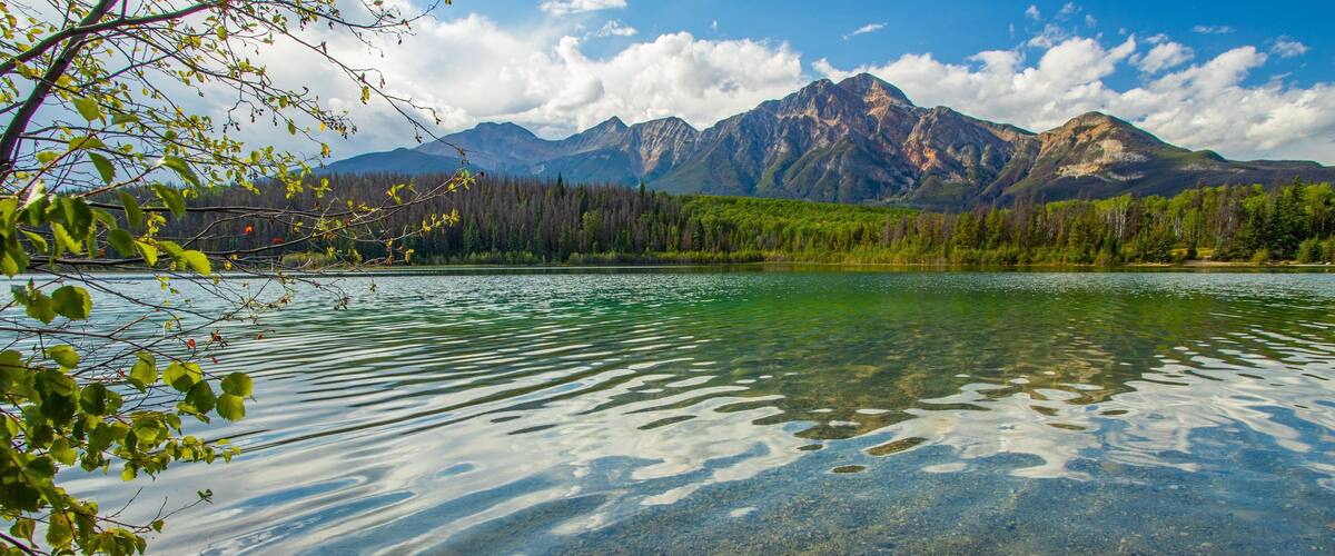 Patricia Lake which includes a lake or waterhole