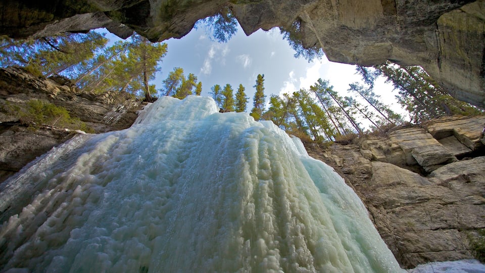 A large ice formation in a rocky canyon with tall trees.
