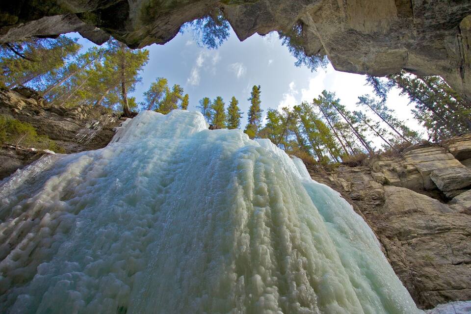 A large ice formation in a rocky canyon with tall trees.
