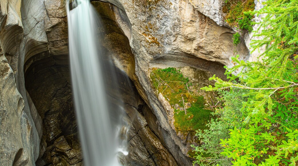 Maligne Canyon featuring a cascade