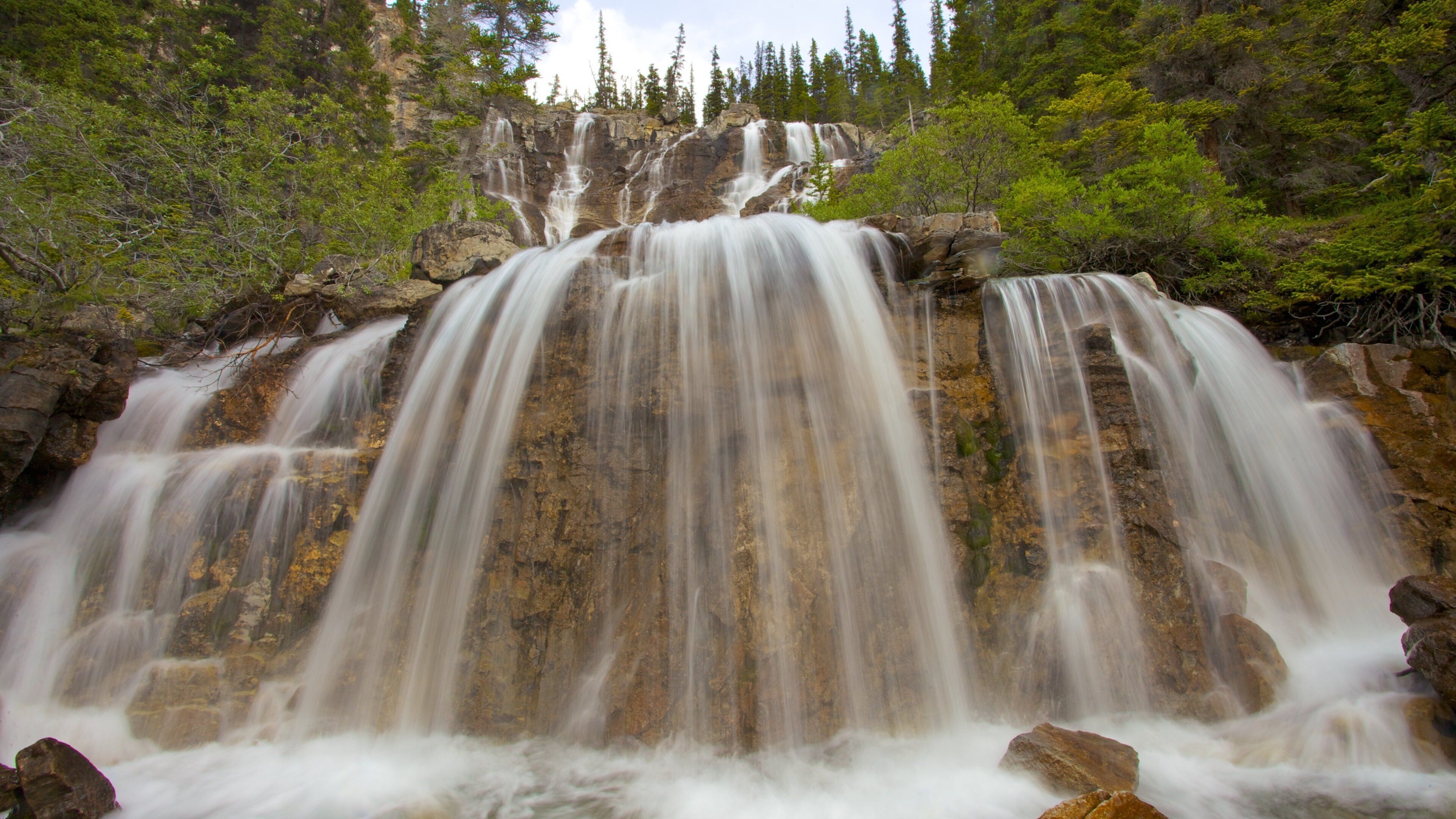 Chutes de Tangle mettant en vedette scènes forestières et chute d\'eau