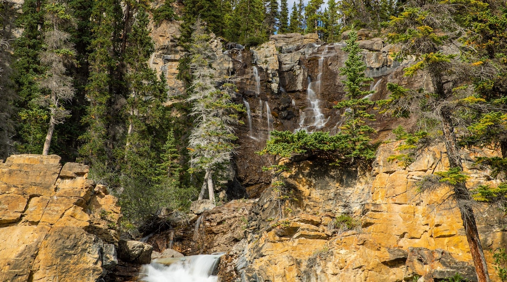 Tangle Falls showing modern architecture and a waterfall