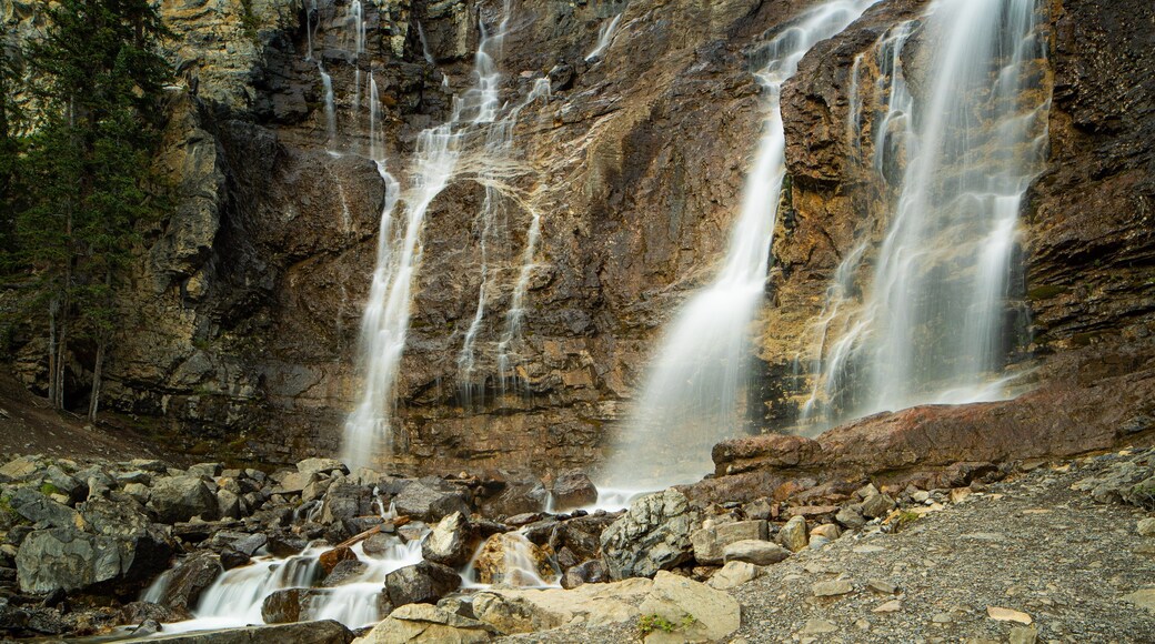 Tangle Falls showing a river or creek and a cascade