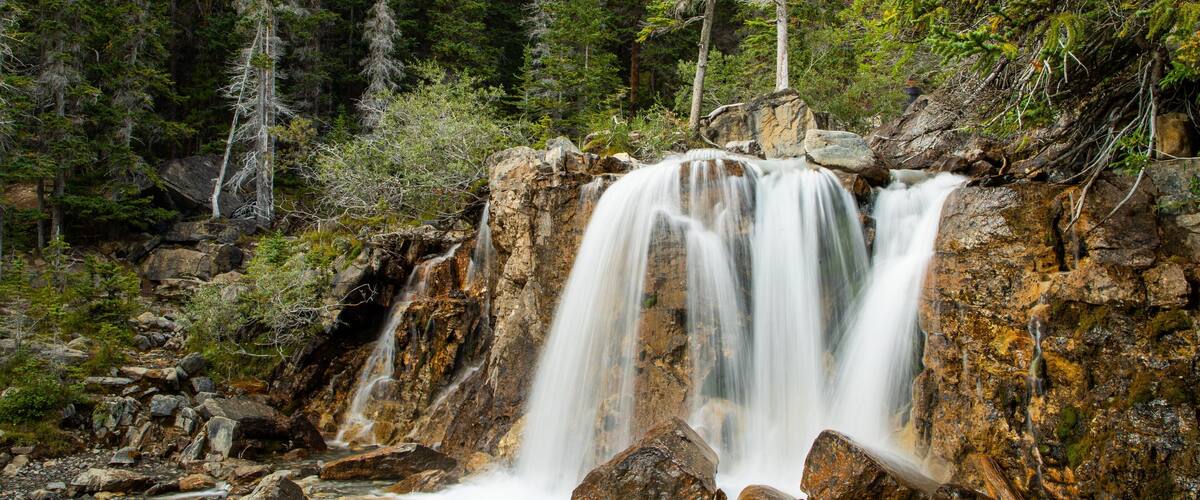 Tangle Falls showing forests, a river or creek and a cascade
