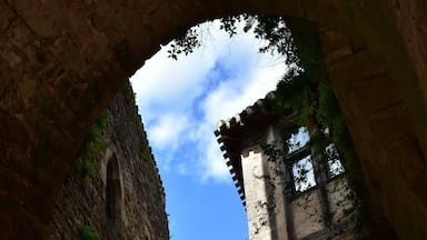 A stone archway leading to a cobblestone street flanked by historic buildings.