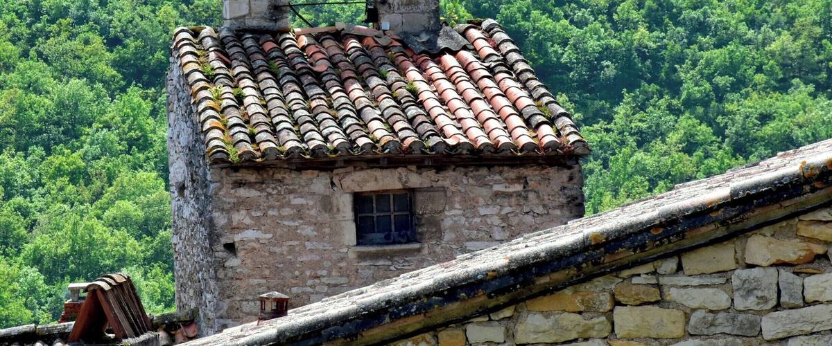 A bell tower with a tiled roof and a bell, surrounded by lush green forest.