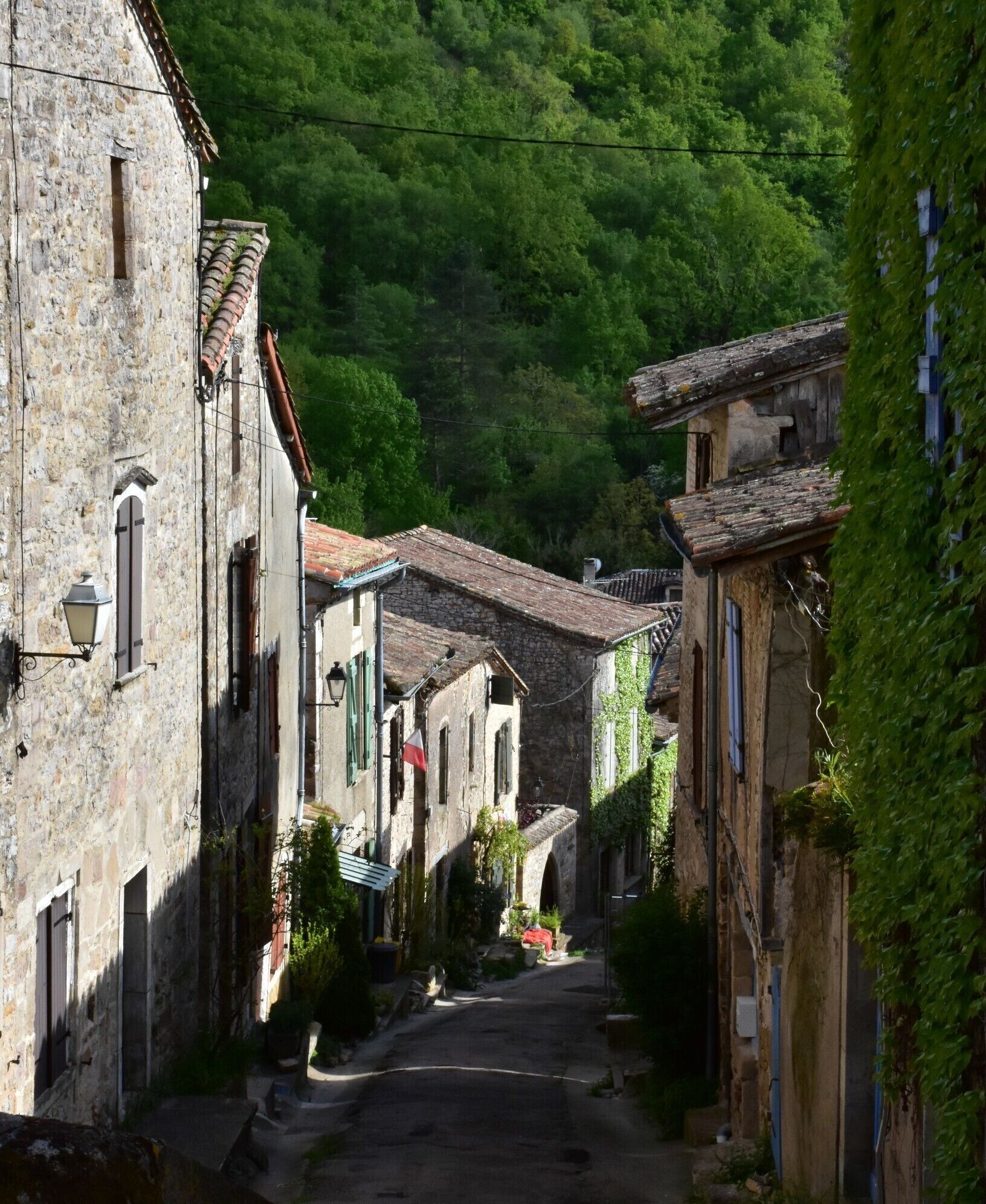 Just 25km west of the much-visited Cordes-sur-Ciel is this spectacular village, topped by two competing chateaux perched on the edge of a cliff overlooking the Aveyron River. One chateau is from the 12th century but the other was built next door in the 15th century by a feuding cousin. The village itself is almost as fascinating as the chateaux and was the location for shooting the award-winning 'Le Vieux Fusil'.