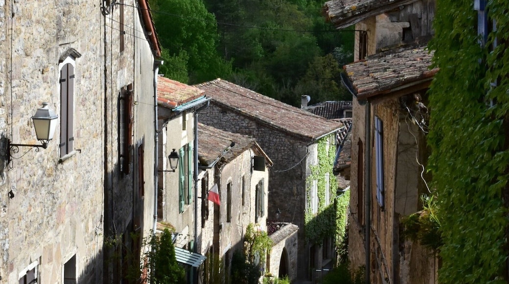 Just 25km west of the much-visited Cordes-sur-Ciel is this spectacular village, topped by two competing chateaux perched on the edge of a cliff overlooking the Aveyron River. One chateau is from the 12th century but the other was built next door in the 15th century by a feuding cousin. The village itself is almost as fascinating as the chateaux and was the location for shooting the award-winning 'Le Vieux Fusil'.