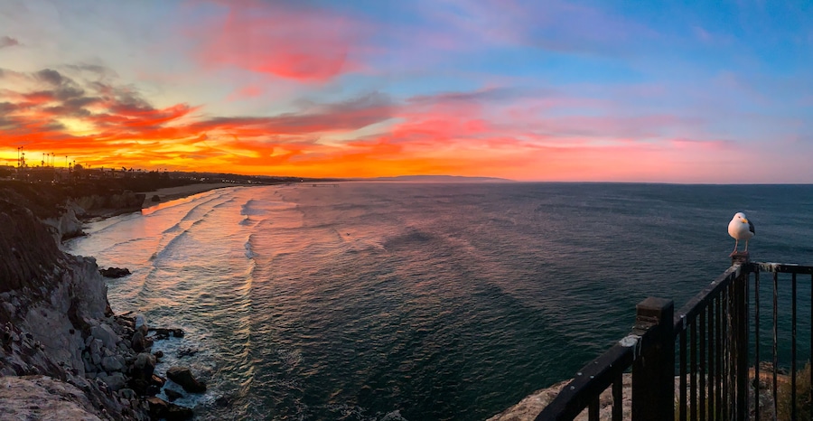 A coastal sunset with a seagull on a railing.