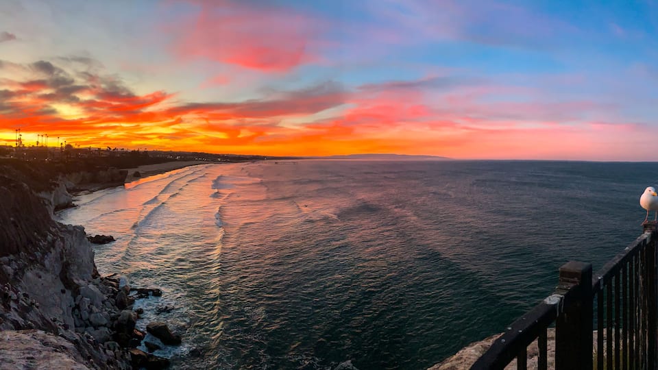 A coastal sunset with a seagull on a railing.