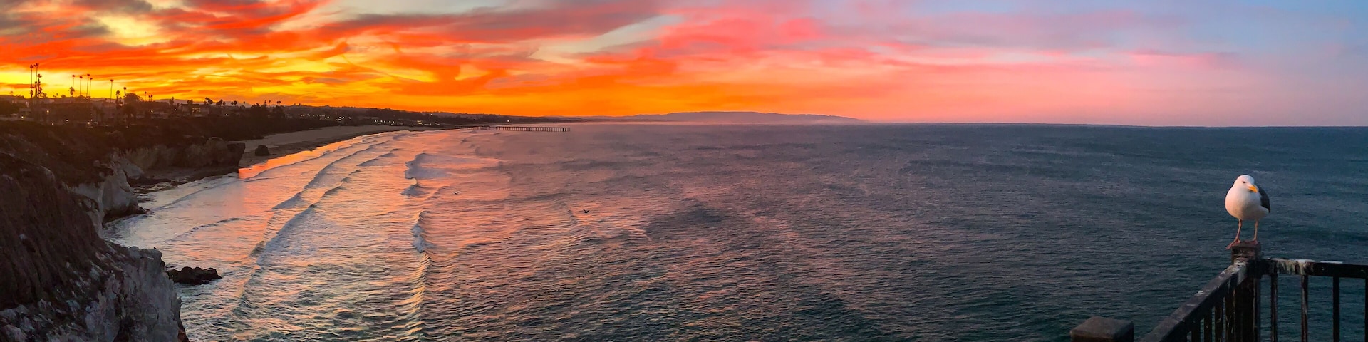 Un coucher de soleil sur la côte, avec une mouette perchée sur une rambarde.