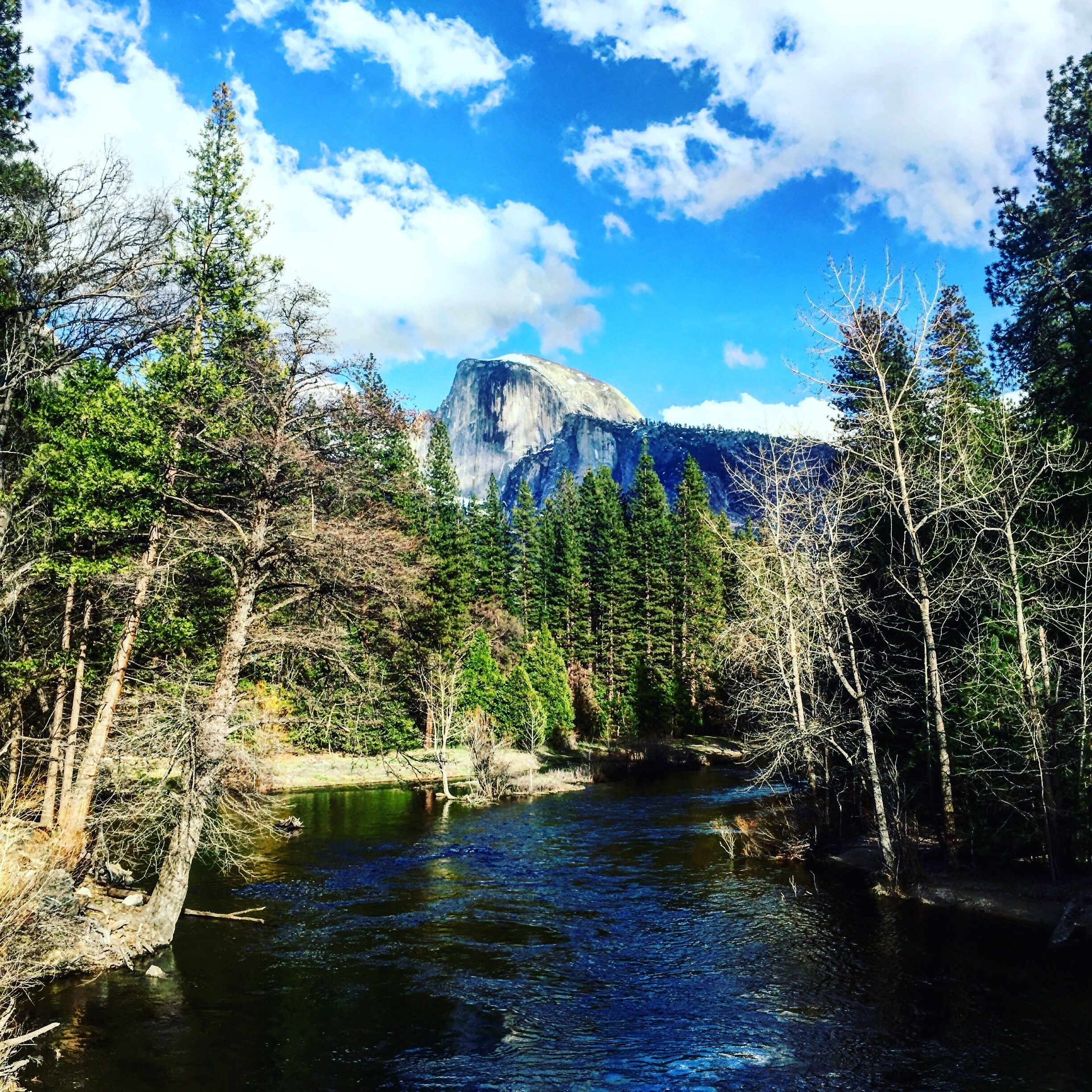 Half Dome in the distance. This is truly gods country. June 2016 I will hike this beauty for the first time! 
