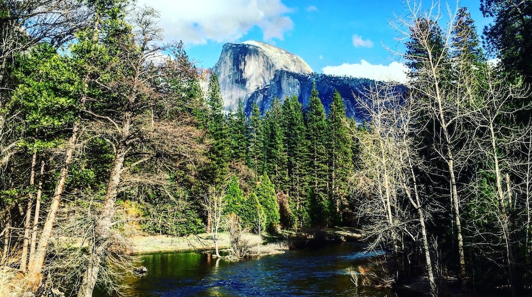 Half Dome in the distance. This is truly gods country. June 2016 I will hike this beauty for the first time!