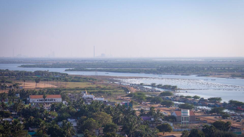 A coastal town with a river, boats, and palm trees.