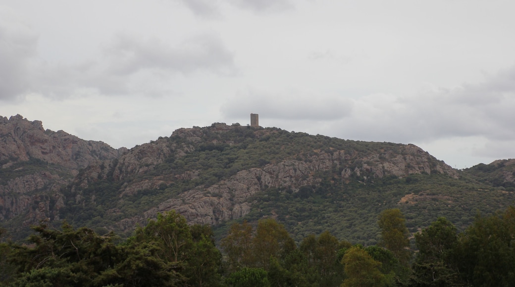 Santa Maria Coghinas, castello di Casteldoria
