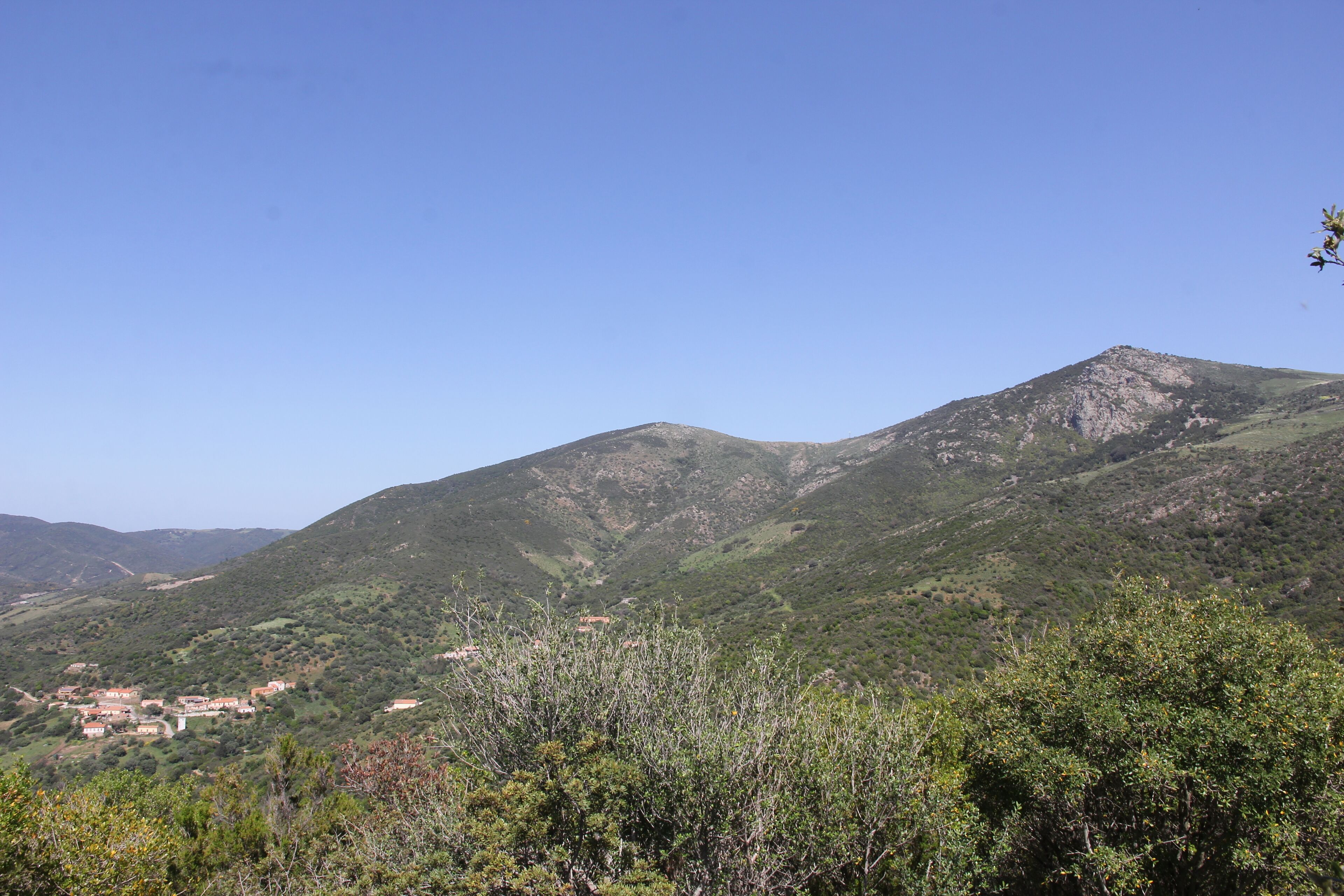 Viddalba, monte Cuccuralta