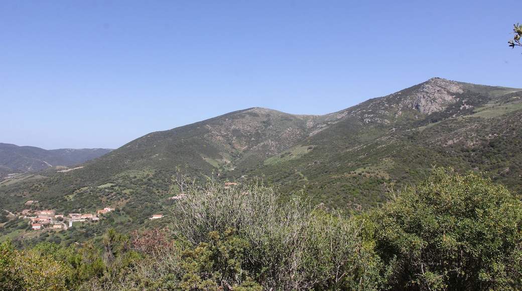 Viddalba, monte Cuccuralta