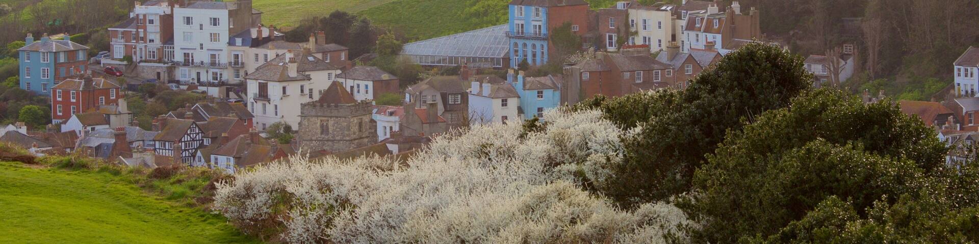 Hastings Country Park qui includes petite ville ou village, vues littorales et parc