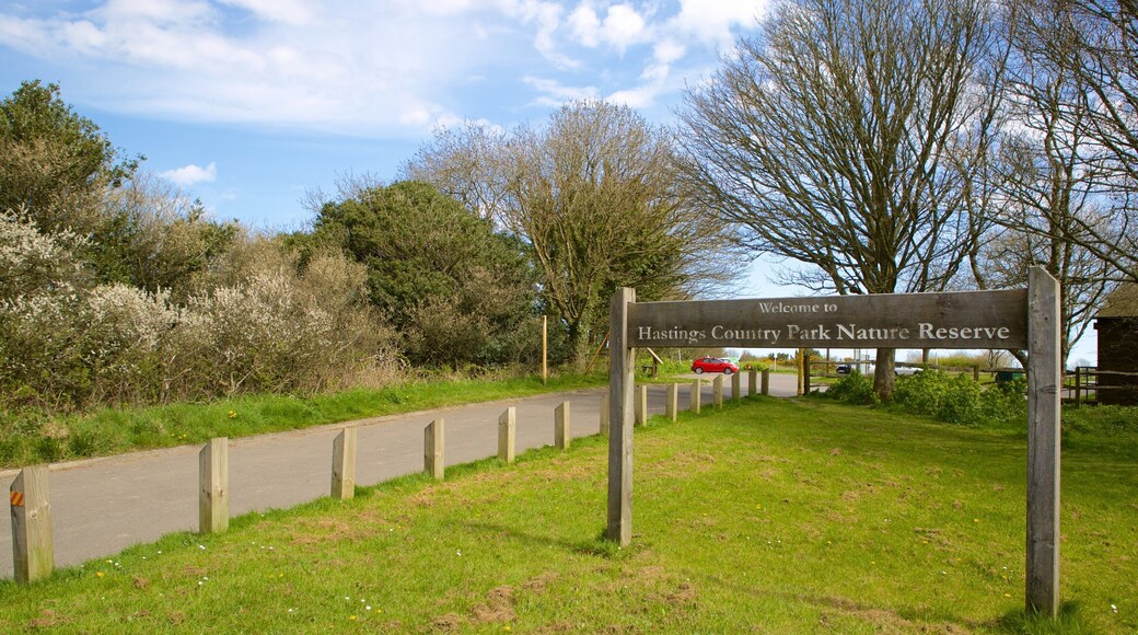 Hastings Country Park showing a garden
