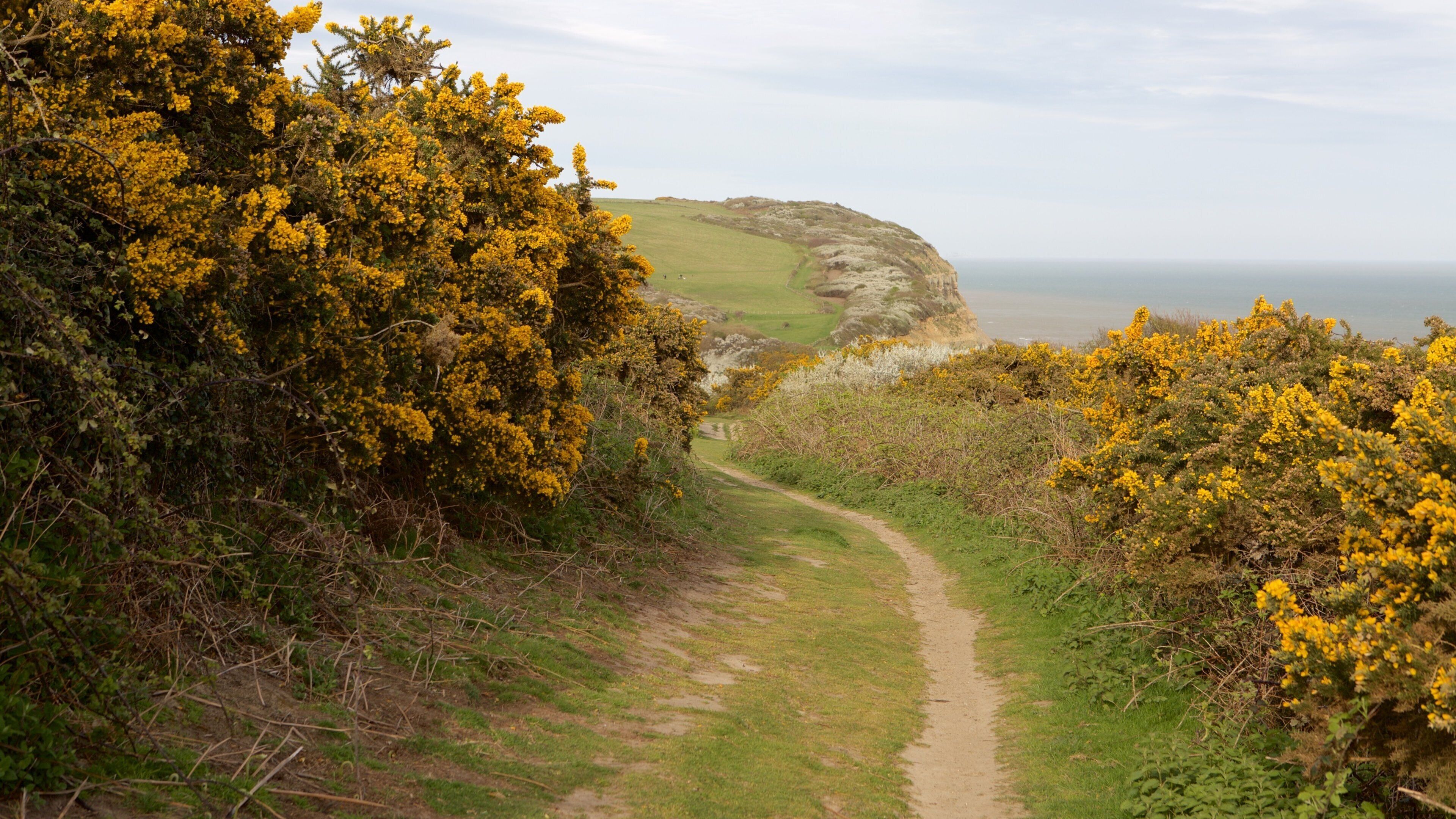Hastings Country Park featuring a garden and general coastal views