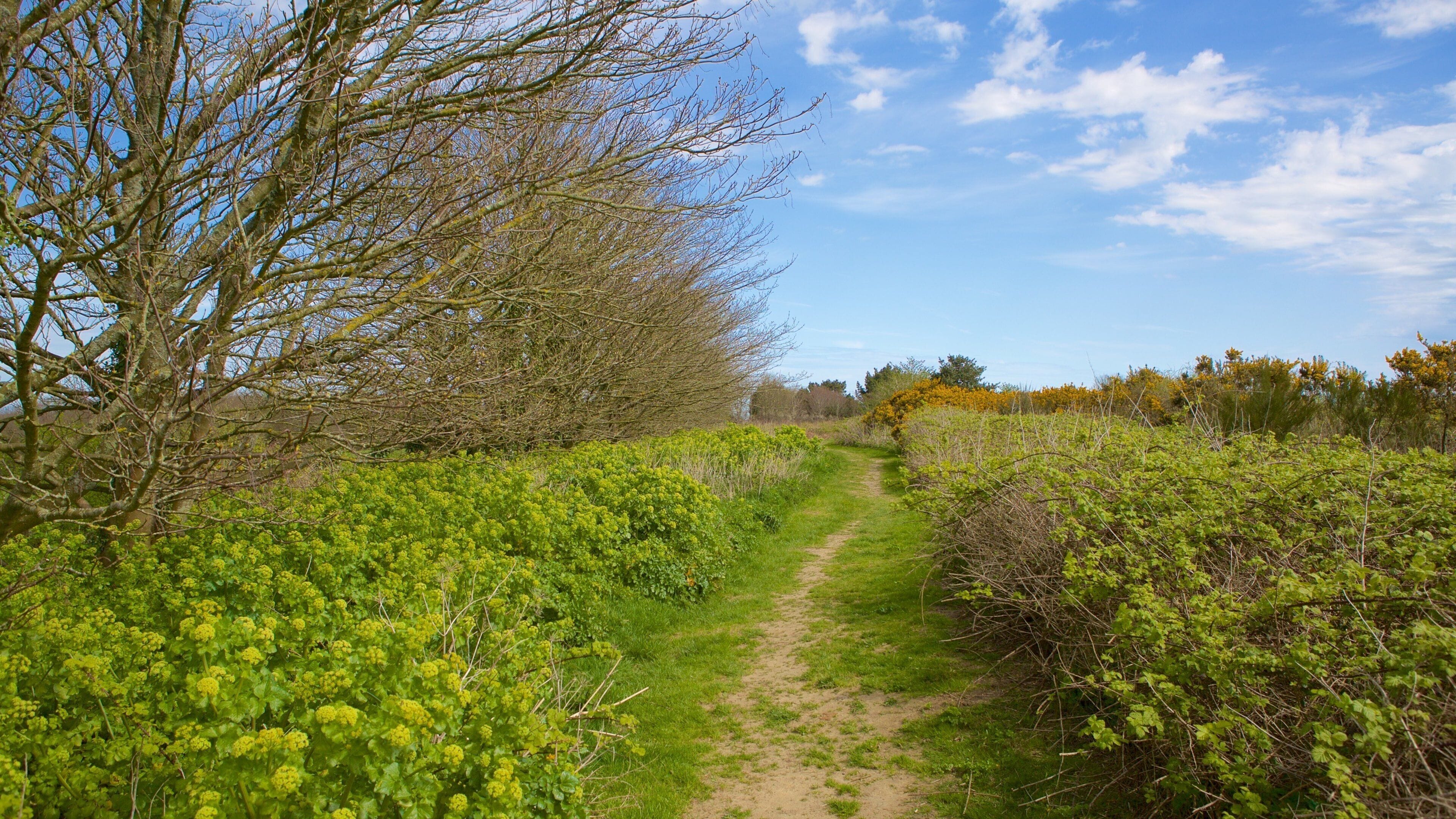 Hastings Country Park which includes a park and tranquil scenes