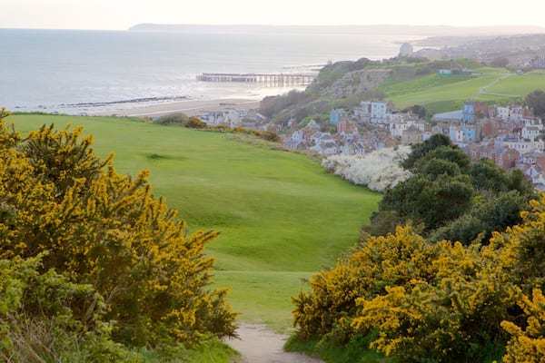 Hastings Country Park montrant parc et vues littorales