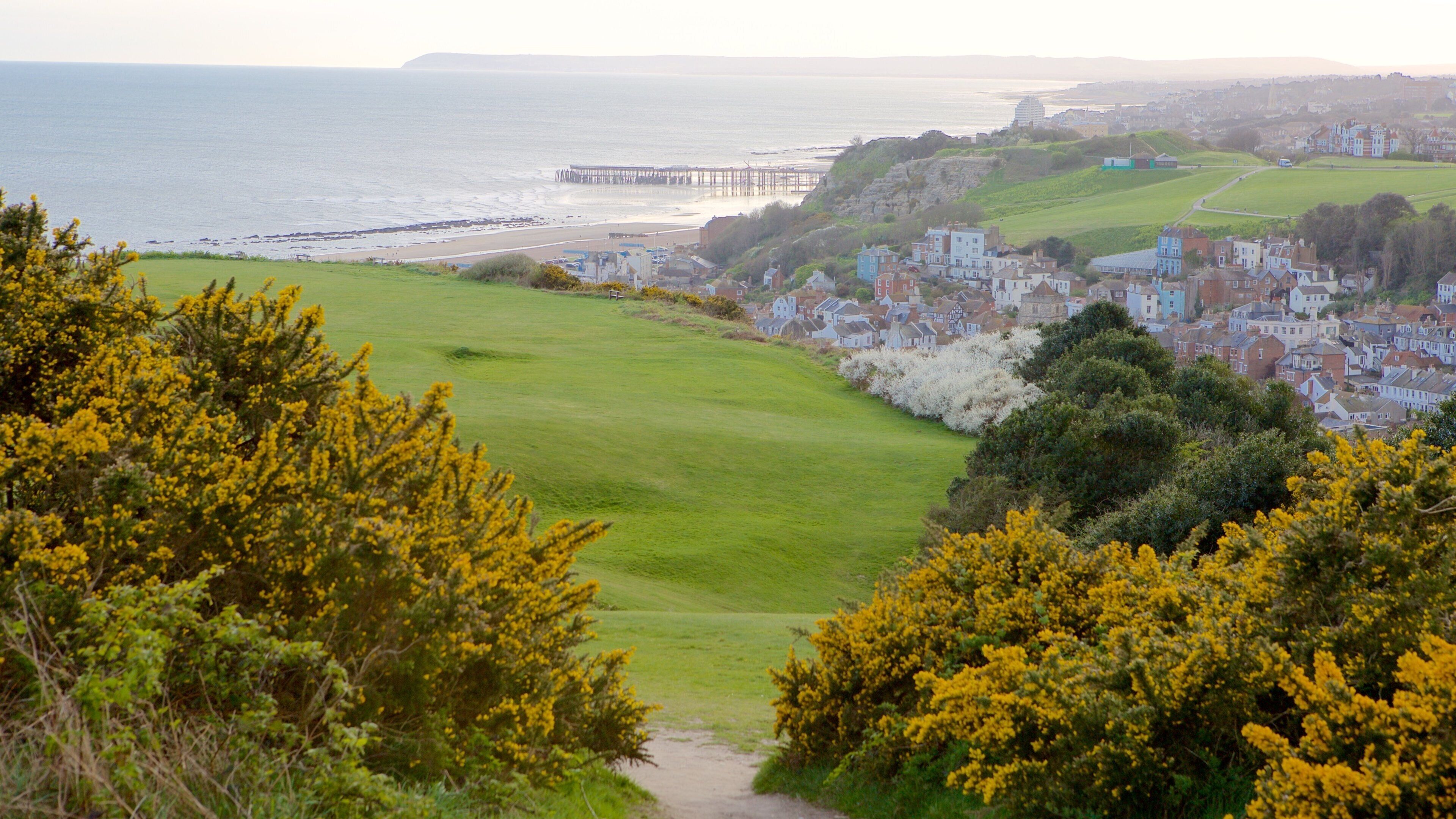 A coastal town with a pier extending into the sea, surrounded by lush greenery and residential buildings.