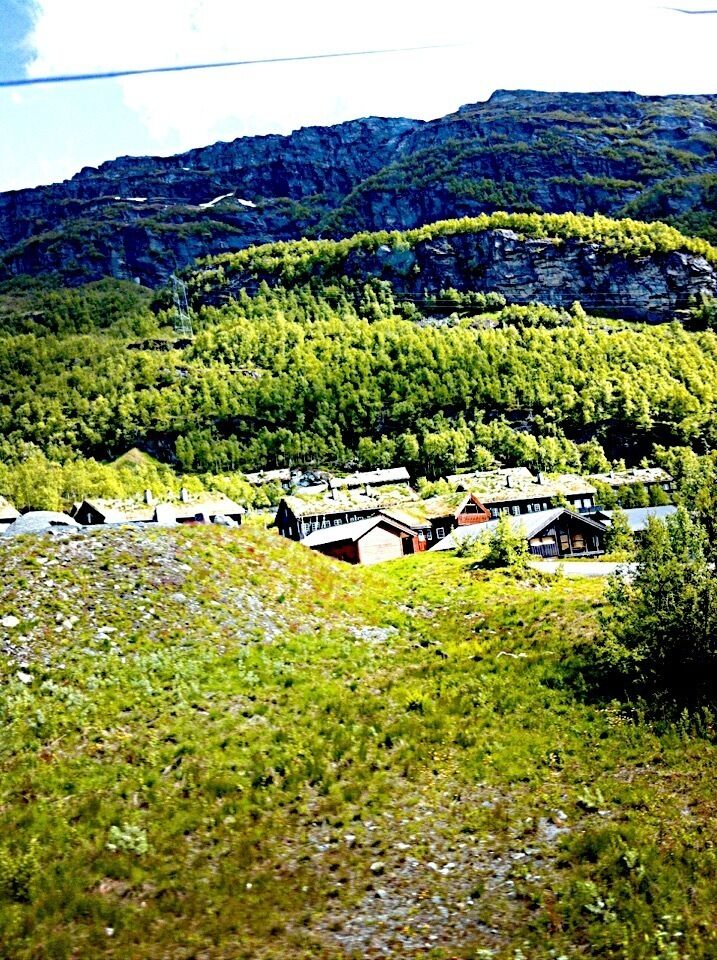 Cozy little huts tucked nicely inbetween green trees in Røldal in western Norway. Perfect place for hiking in the summer and skiing/snowboarding in the winter.

#localgem
