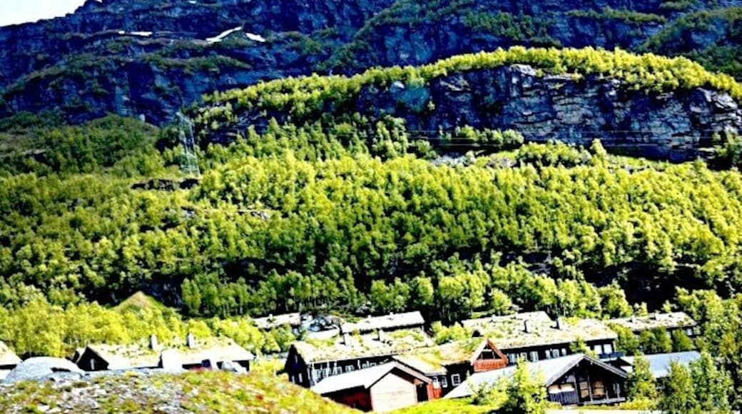 Cozy little huts tucked nicely inbetween green trees in Røldal in western Norway. Perfect place for hiking in the summer and skiing/snowboarding in the winter.
#localgem
